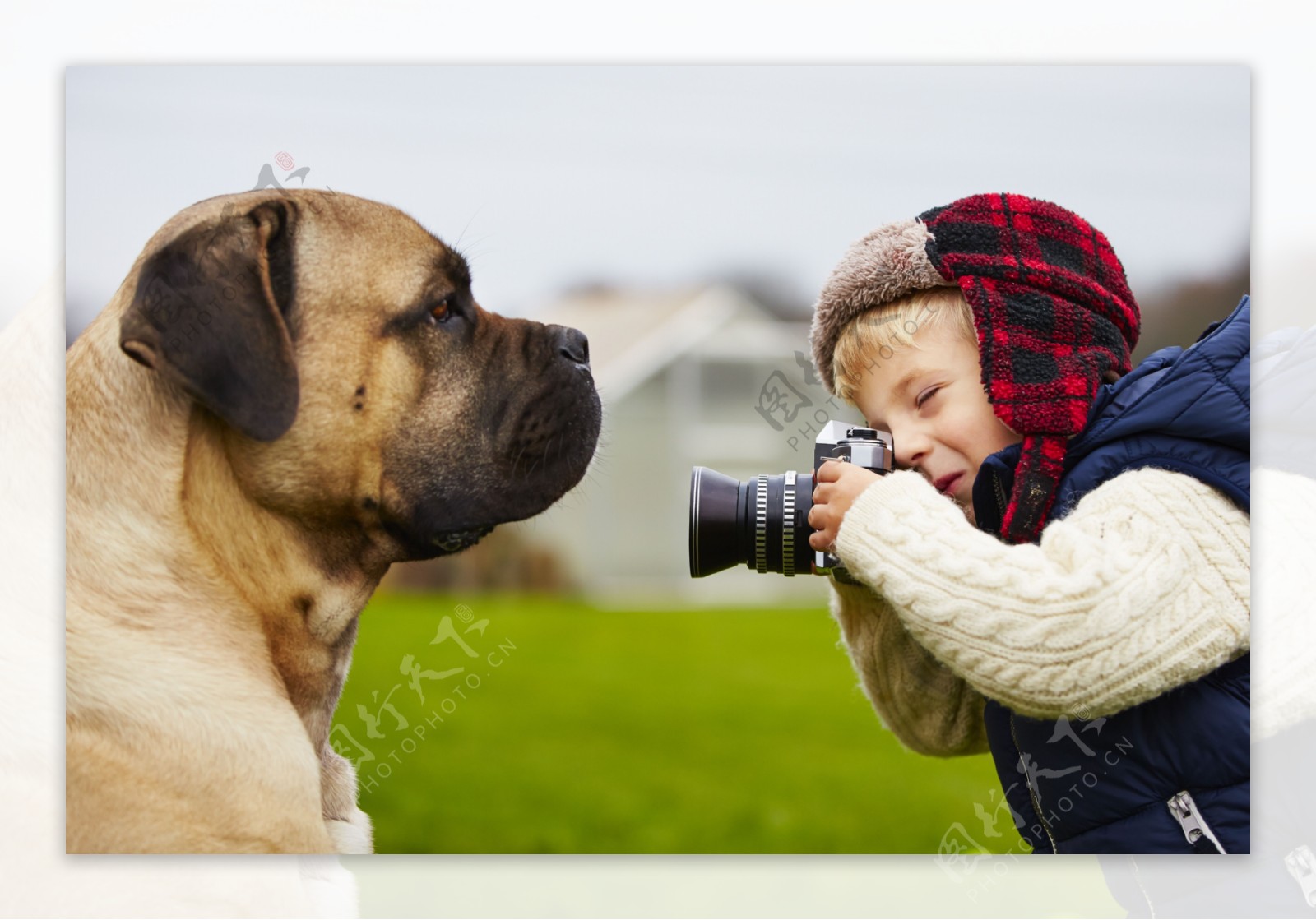 给宠物狗拍照的小男孩图片