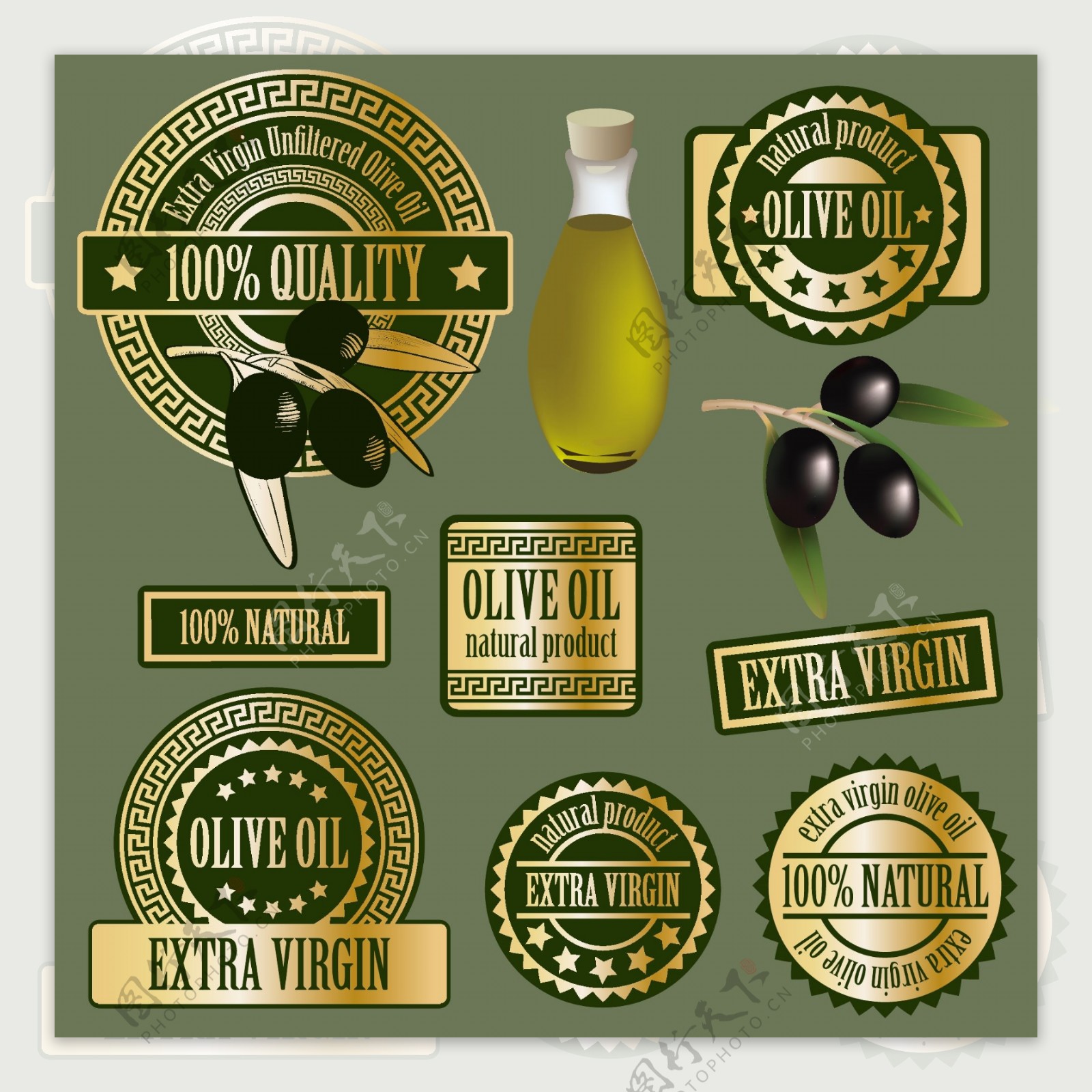 橄榄油主题标签
