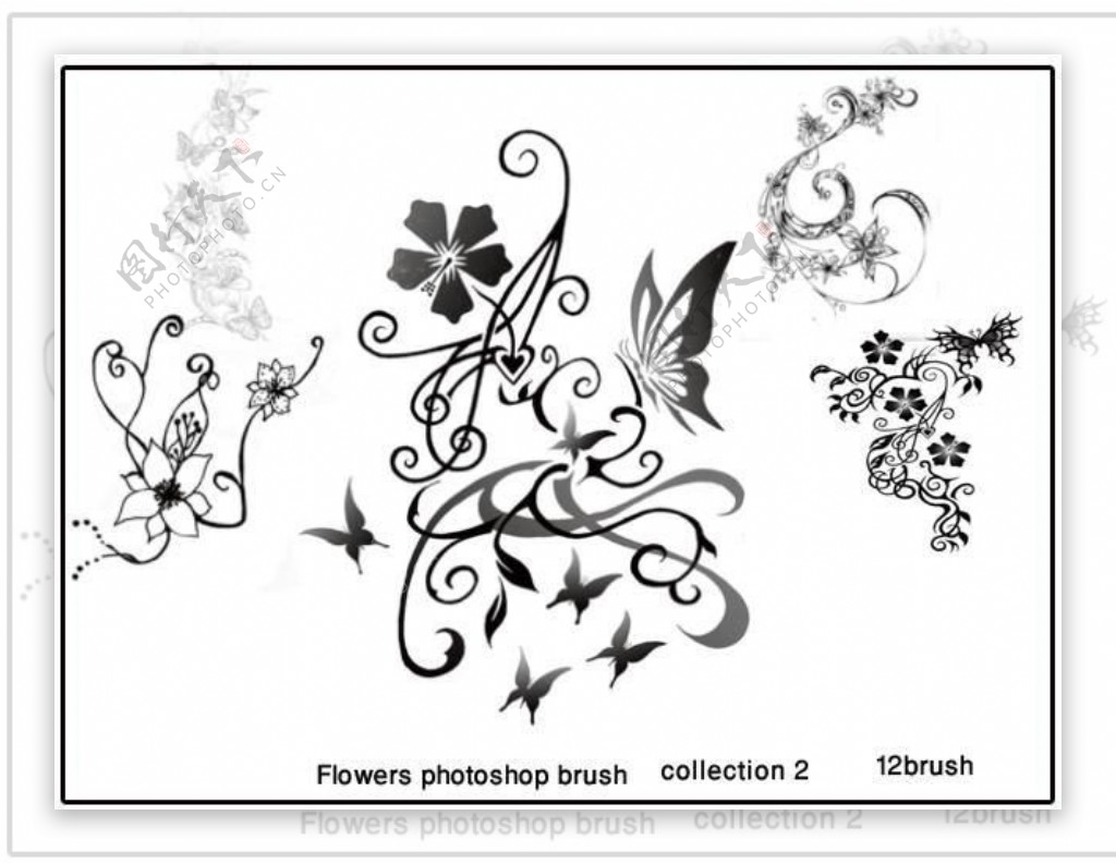 矢量花朵花边花纹PS装饰笔刷下载.2