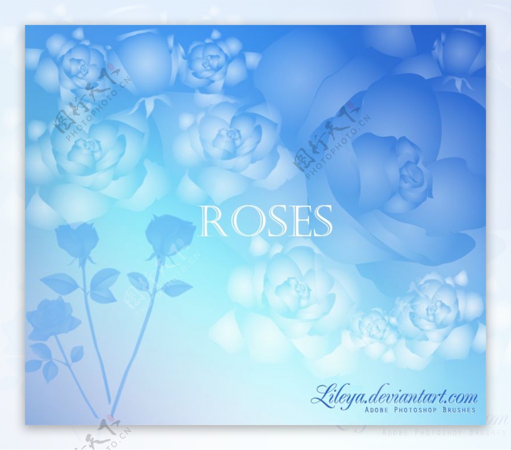 玫瑰花花纹图案效果photoshop笔刷素材