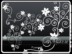 漂亮的植物花纹照片美图背景边框饰品PS笔刷.6