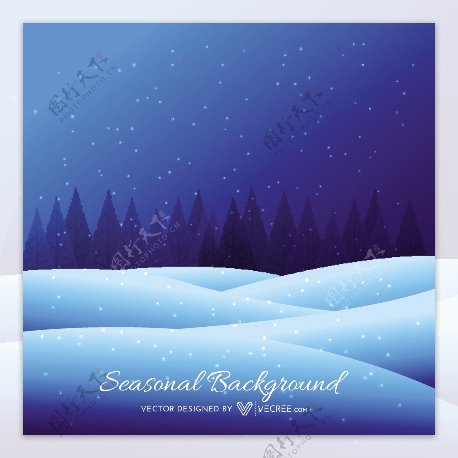 蓝色的雪季节背景与松树