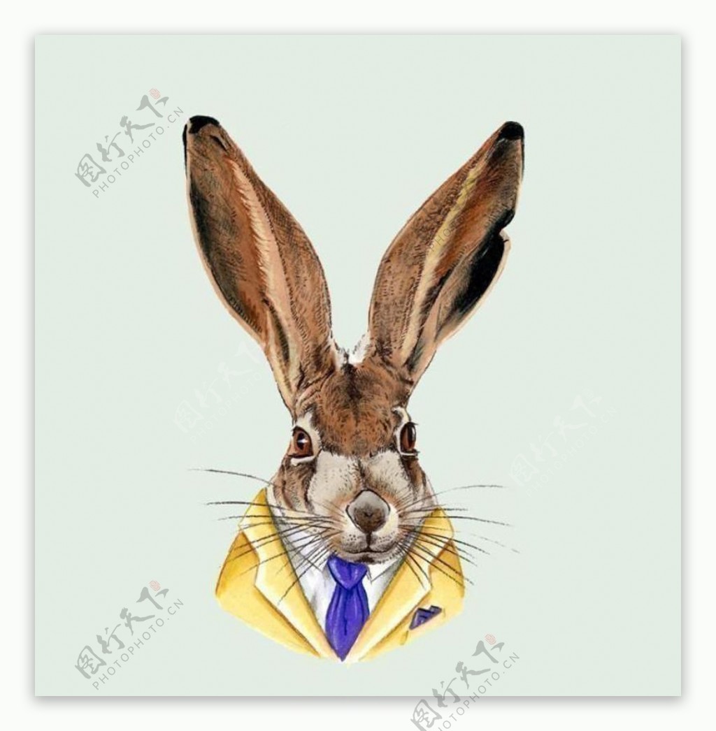 位图动物动物头兔子动物头专题免费素材