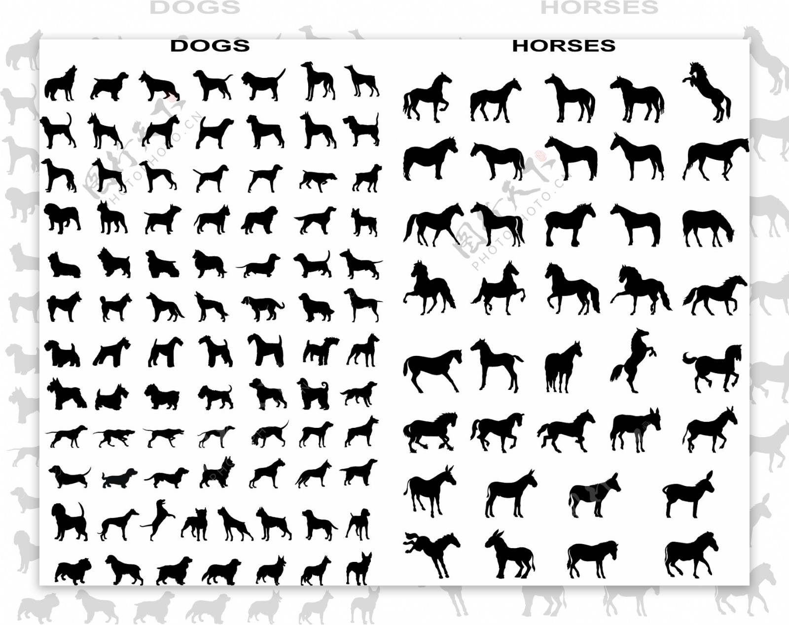 多款黑色的马和狗