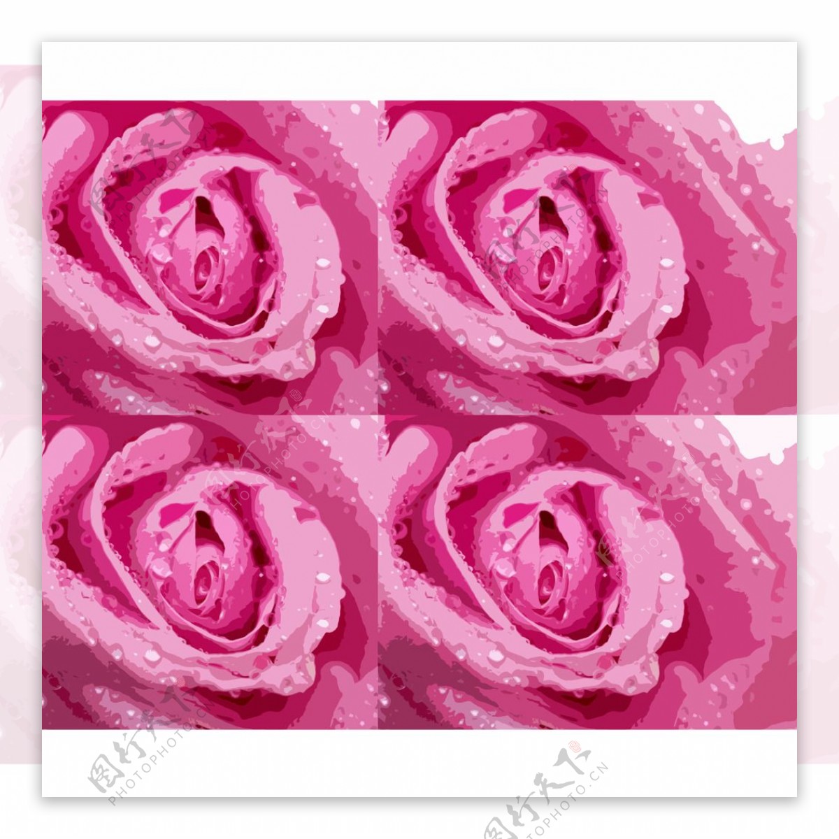 粉色艺术玫瑰花