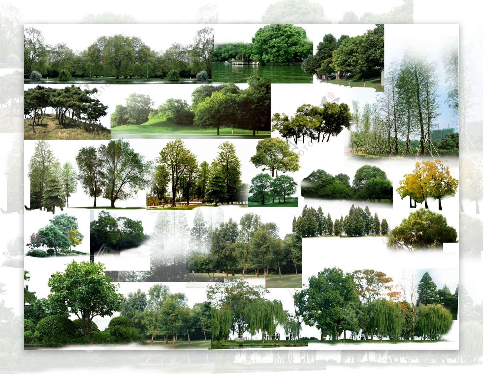 景观设计效果图素材psd素材文件配景树