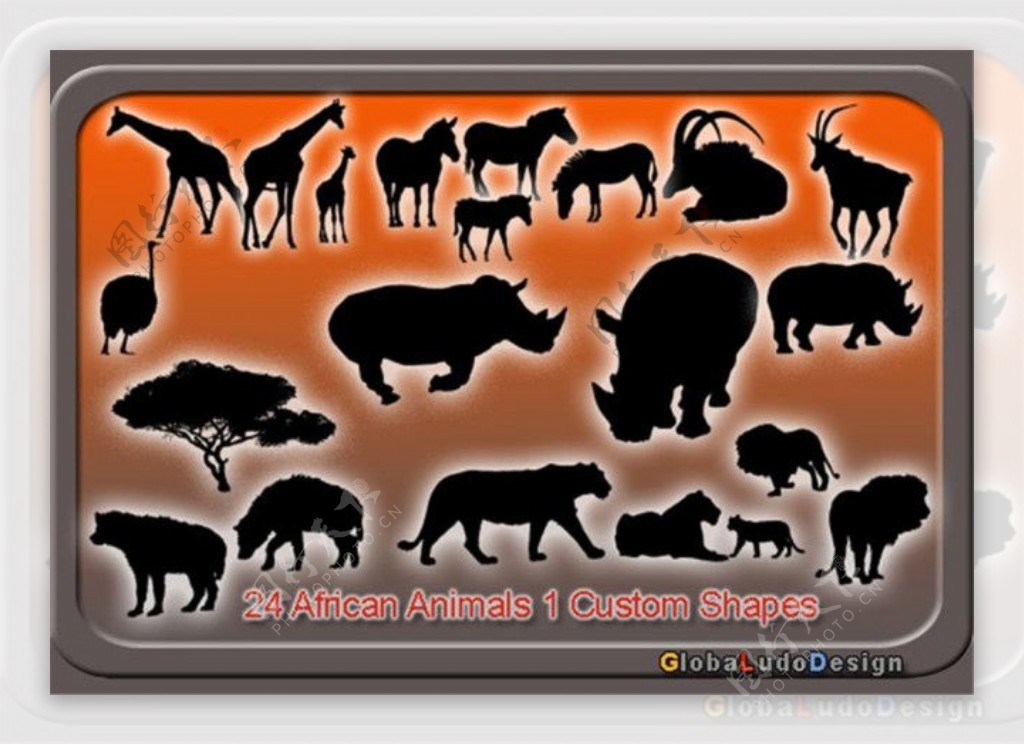 24种非洲动物元素photoshop自定义形状素材.csh下载