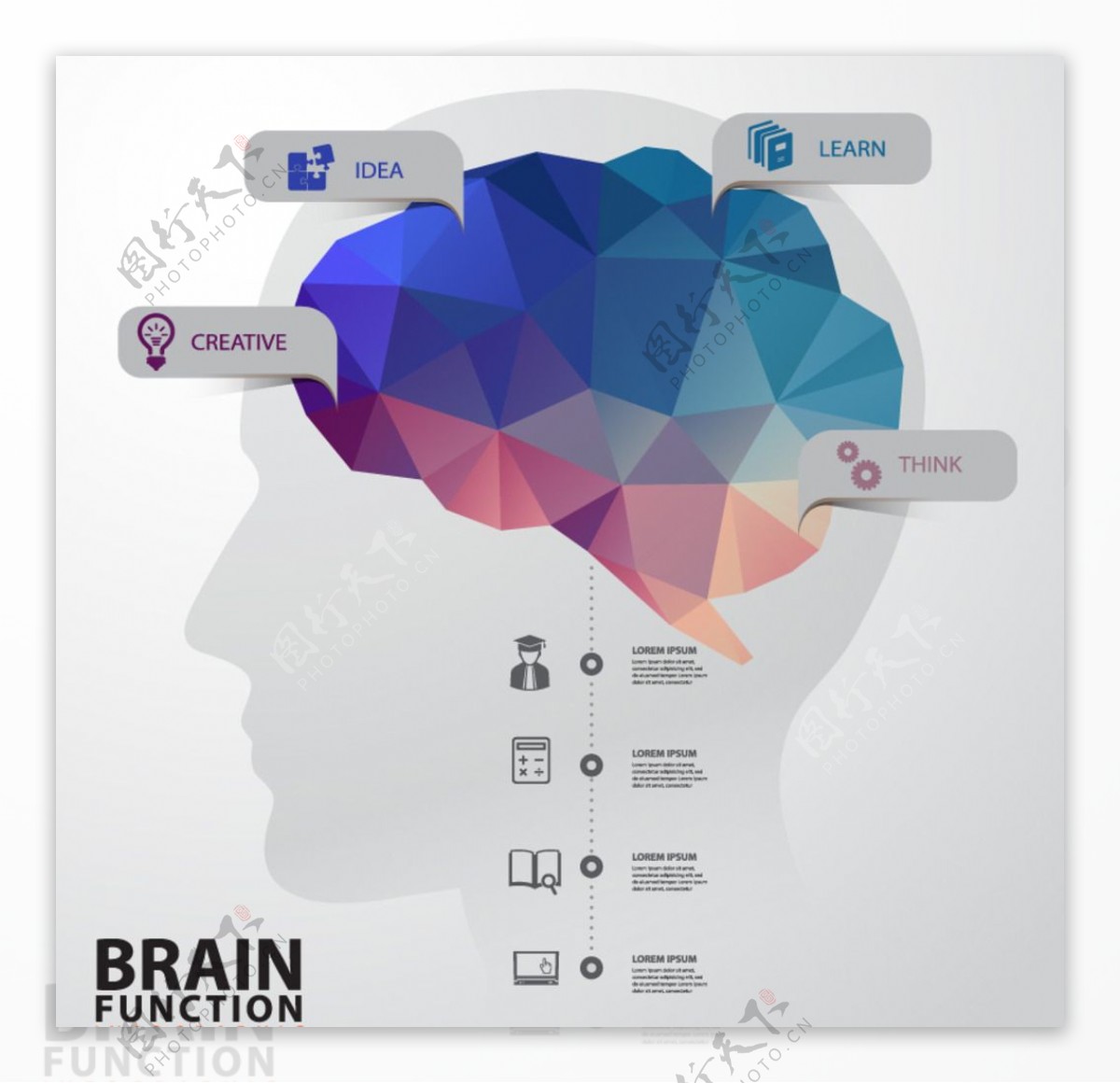 创意大脑功能信息图矢量素材