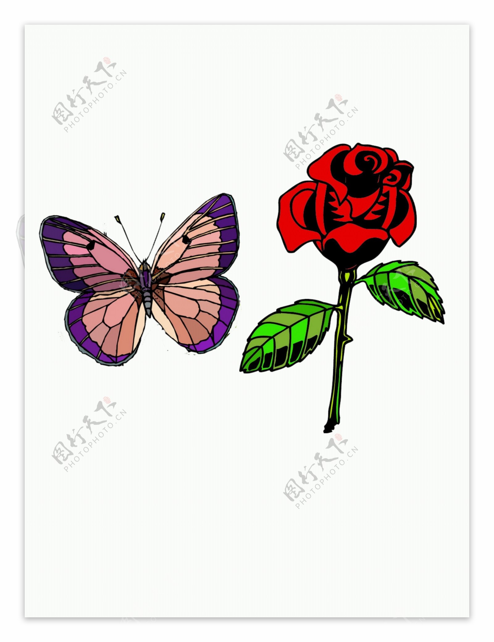 蝴蝶玫瑰图片