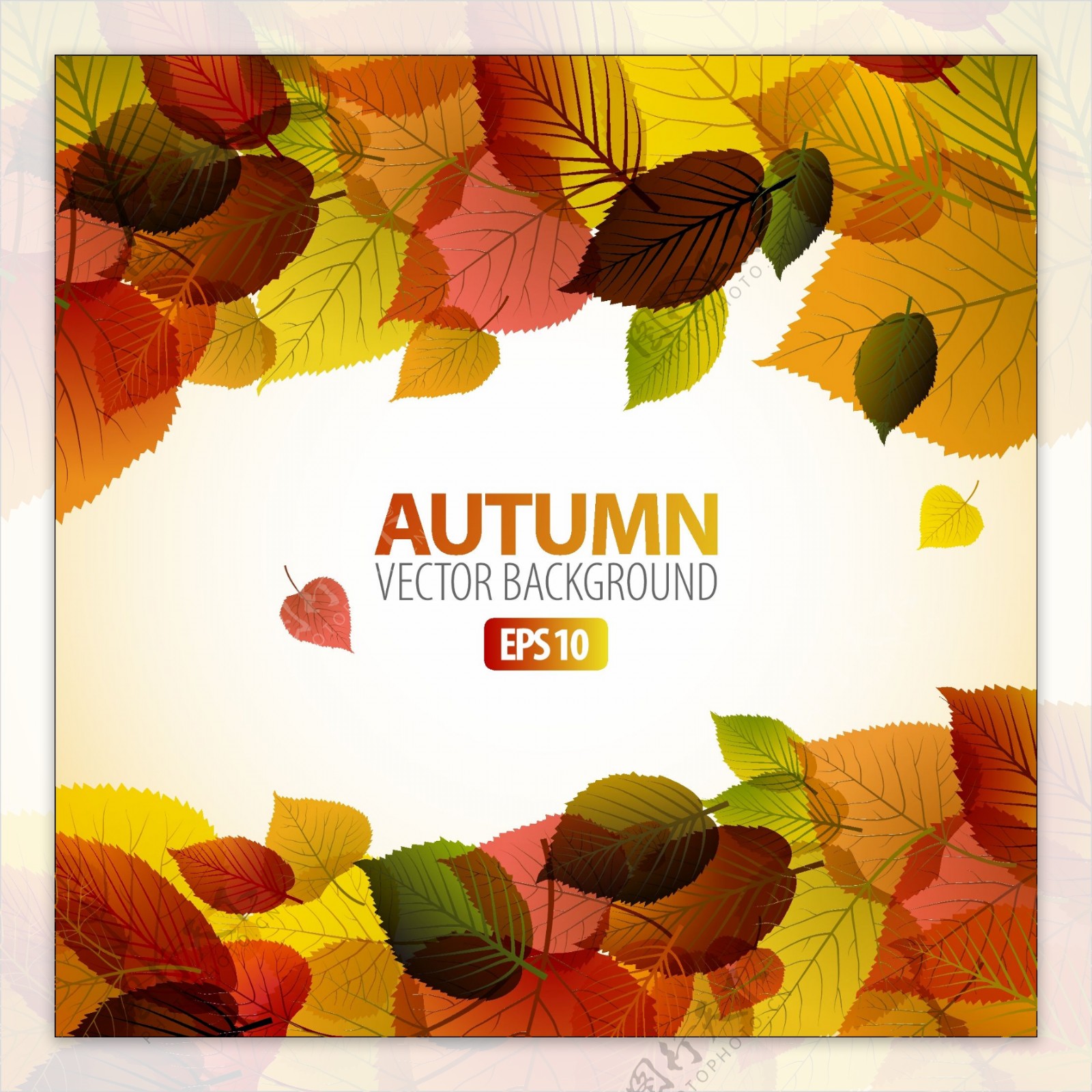 秋天背景框架与树叶