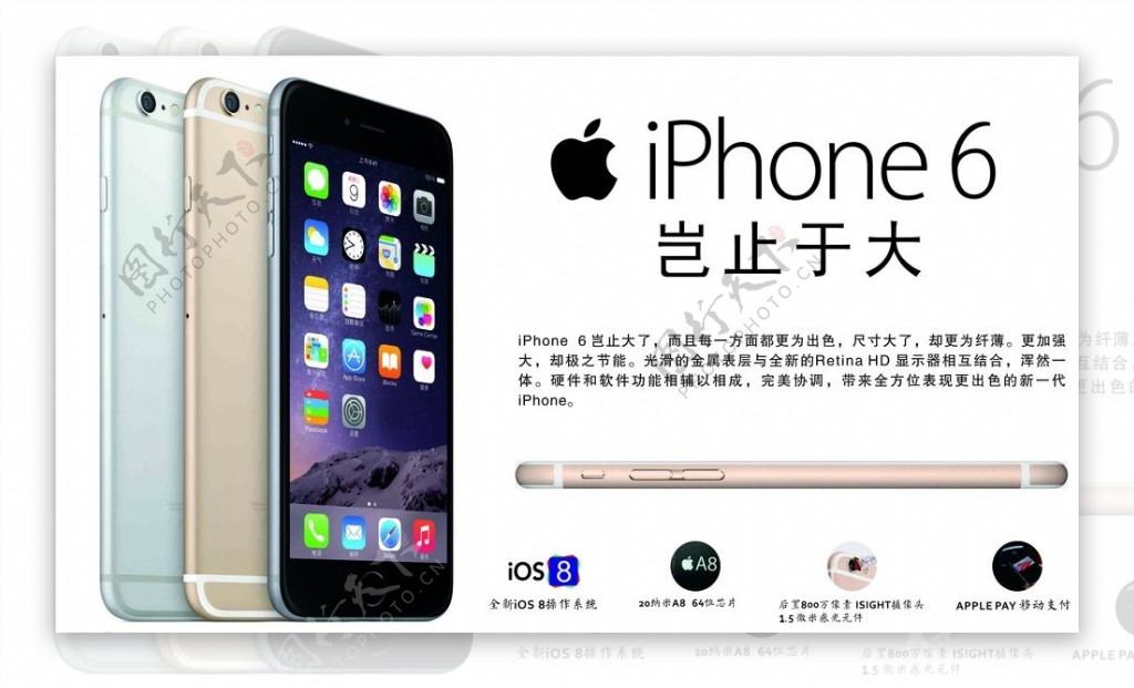 iPhone6高清灯箱图片