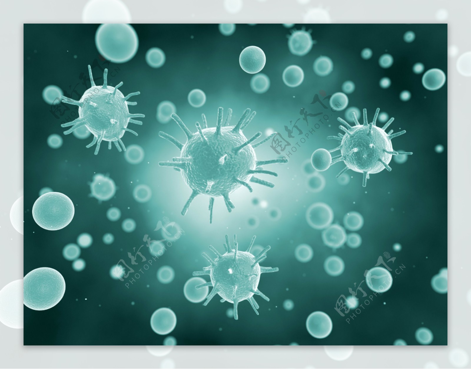 蓝色生物细菌图片