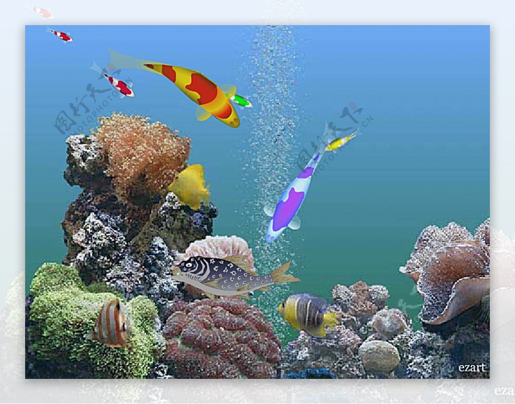 海底gif摄影图片-海底gif摄影作品-千库网
