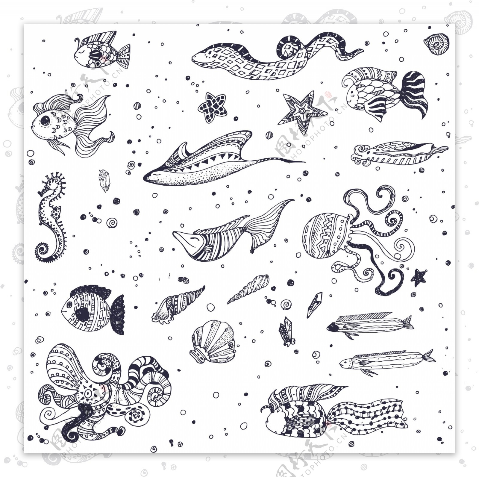海洋动物图案背景