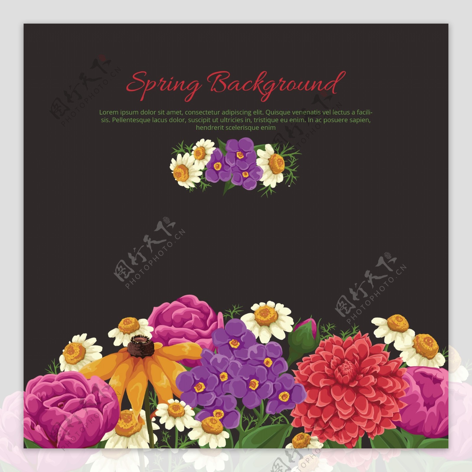 春季彩色花卉背景矢量图片