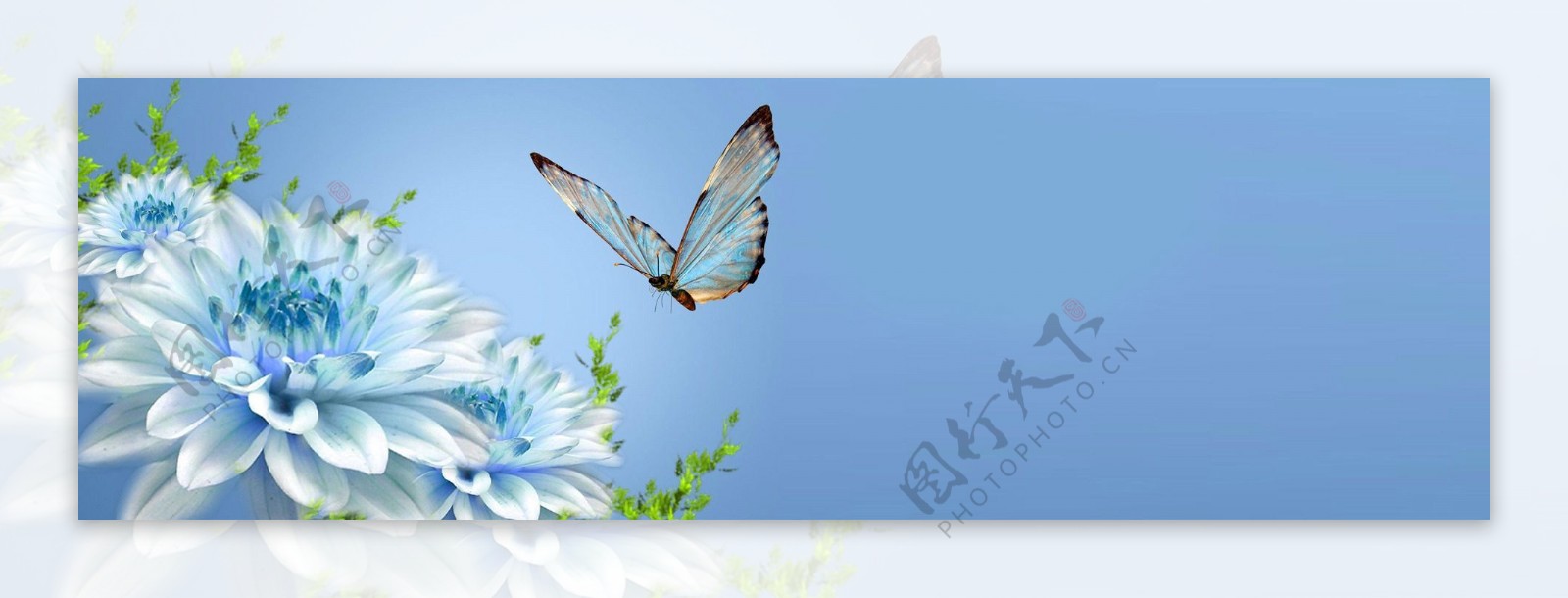 鲜花与蝴蝶banner背景图