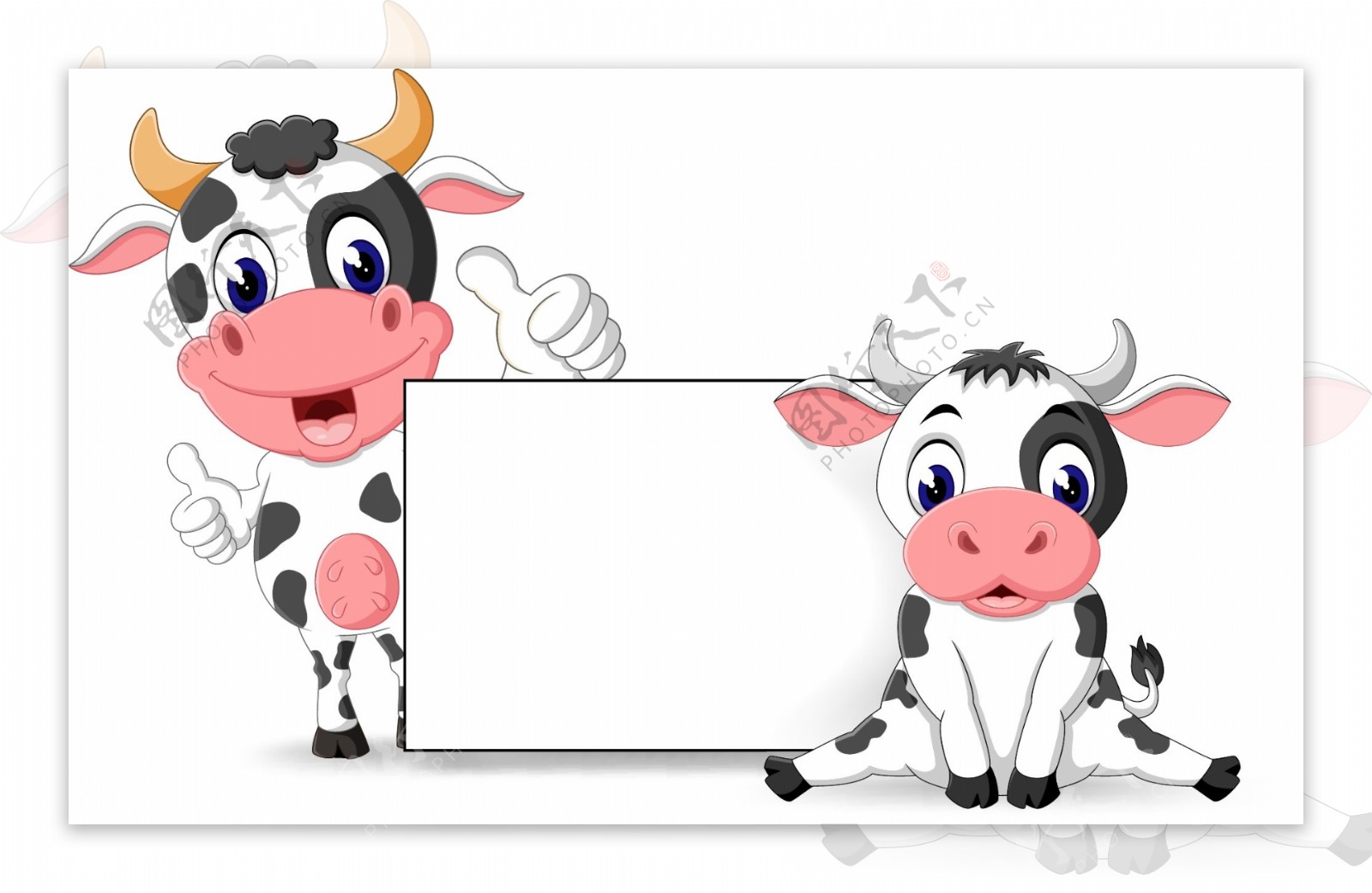 母牛设计图