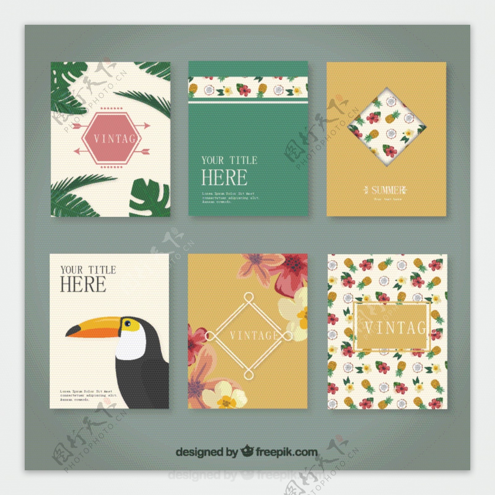 6款热带花卉卡片矢量素材