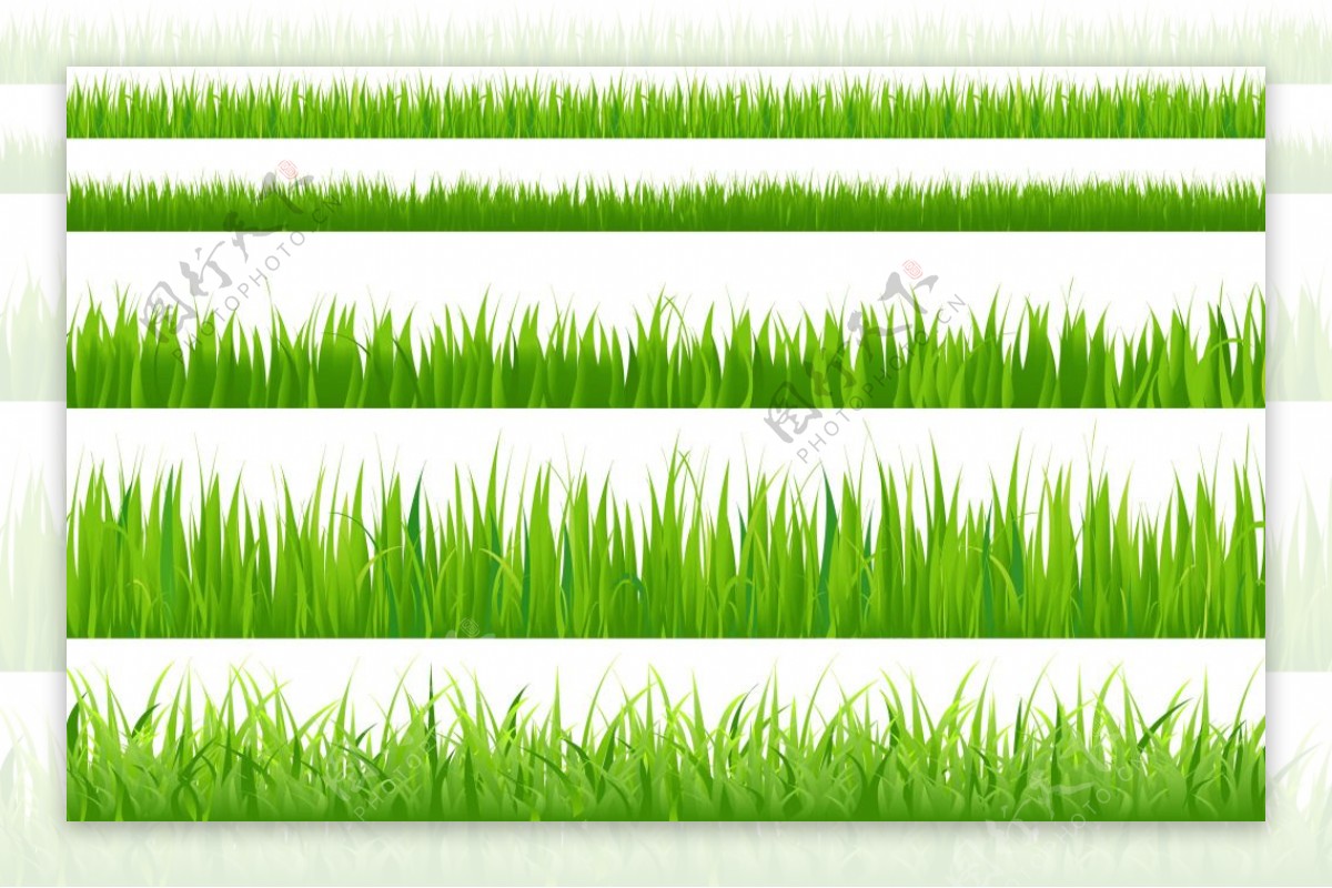 绿色禾苗矢量素材