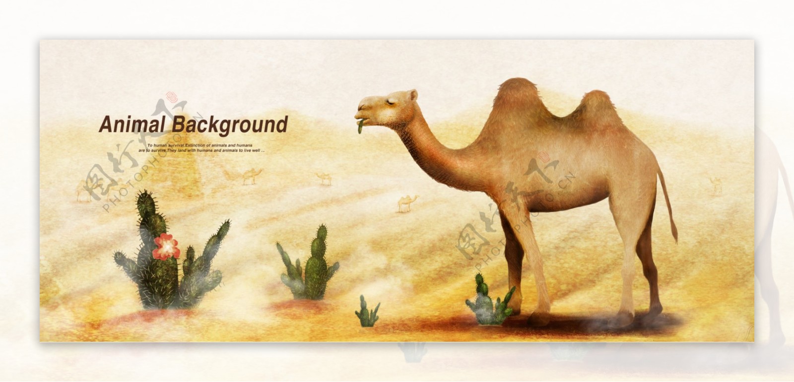 彩铅画效果动物分层背景骆驼