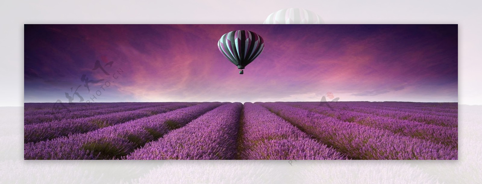紫色浪漫薰衣草海洋淘宝海报背景