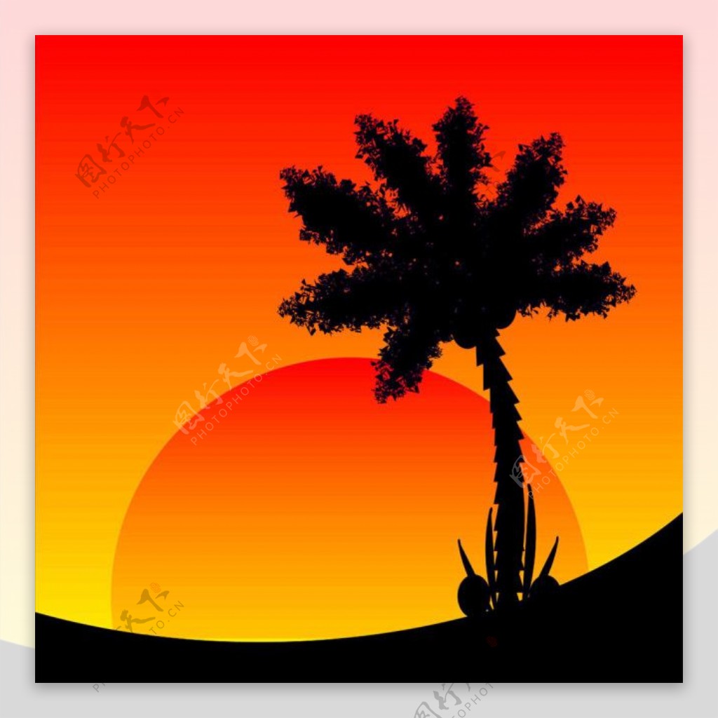 椰树与太阳图片