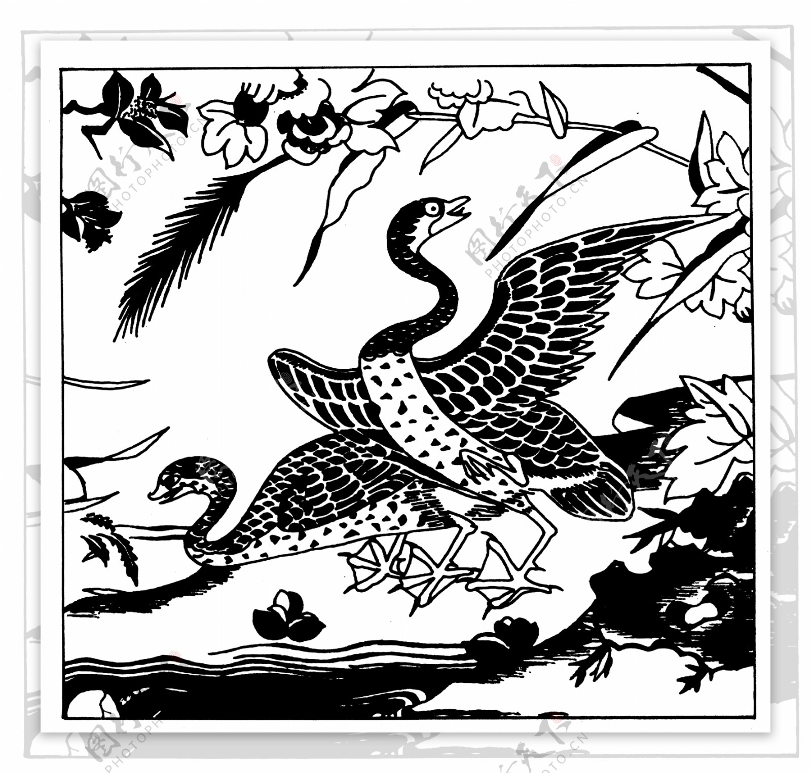 清代花鸟图案中国传统图案0066