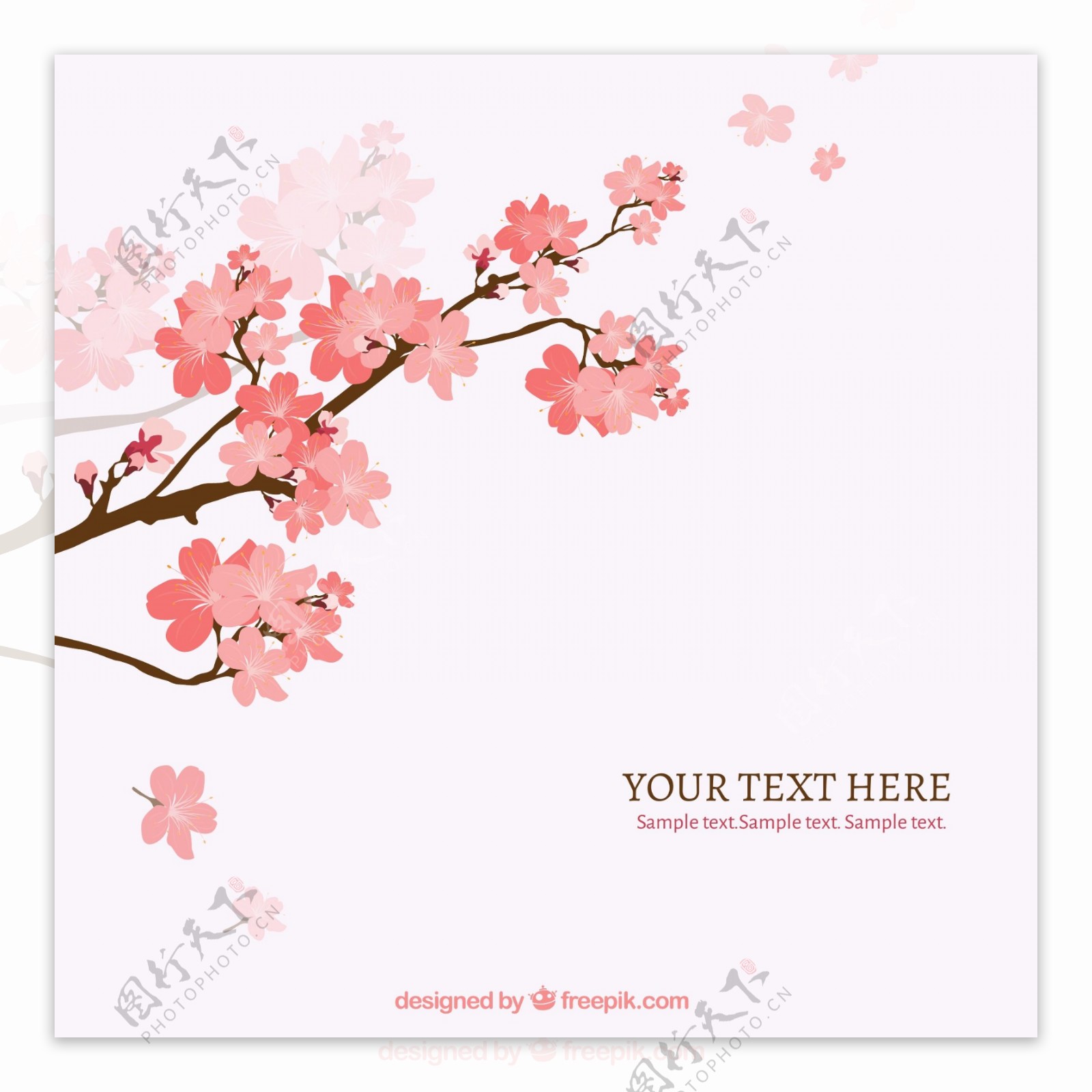 樱花花枝背景矢量素材图片