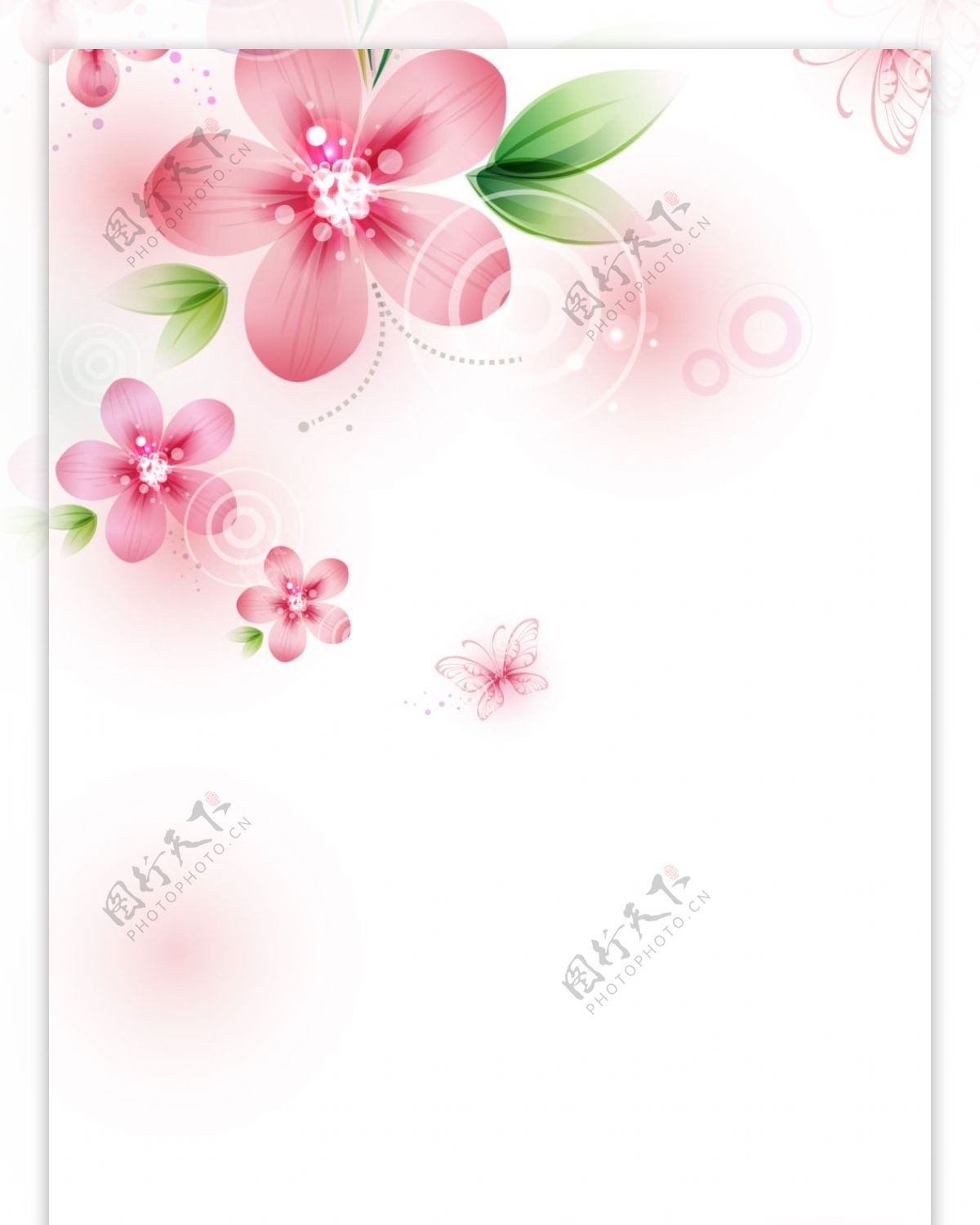 精美简约粉色花朵展板背景