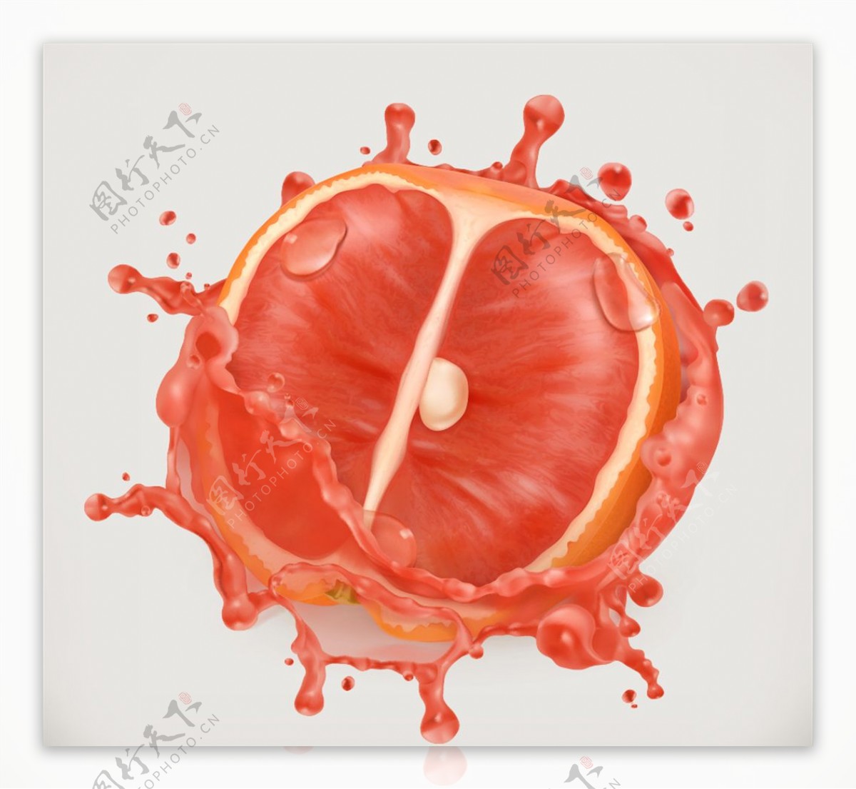 被果汁包裹的红心柚子矢量素材
