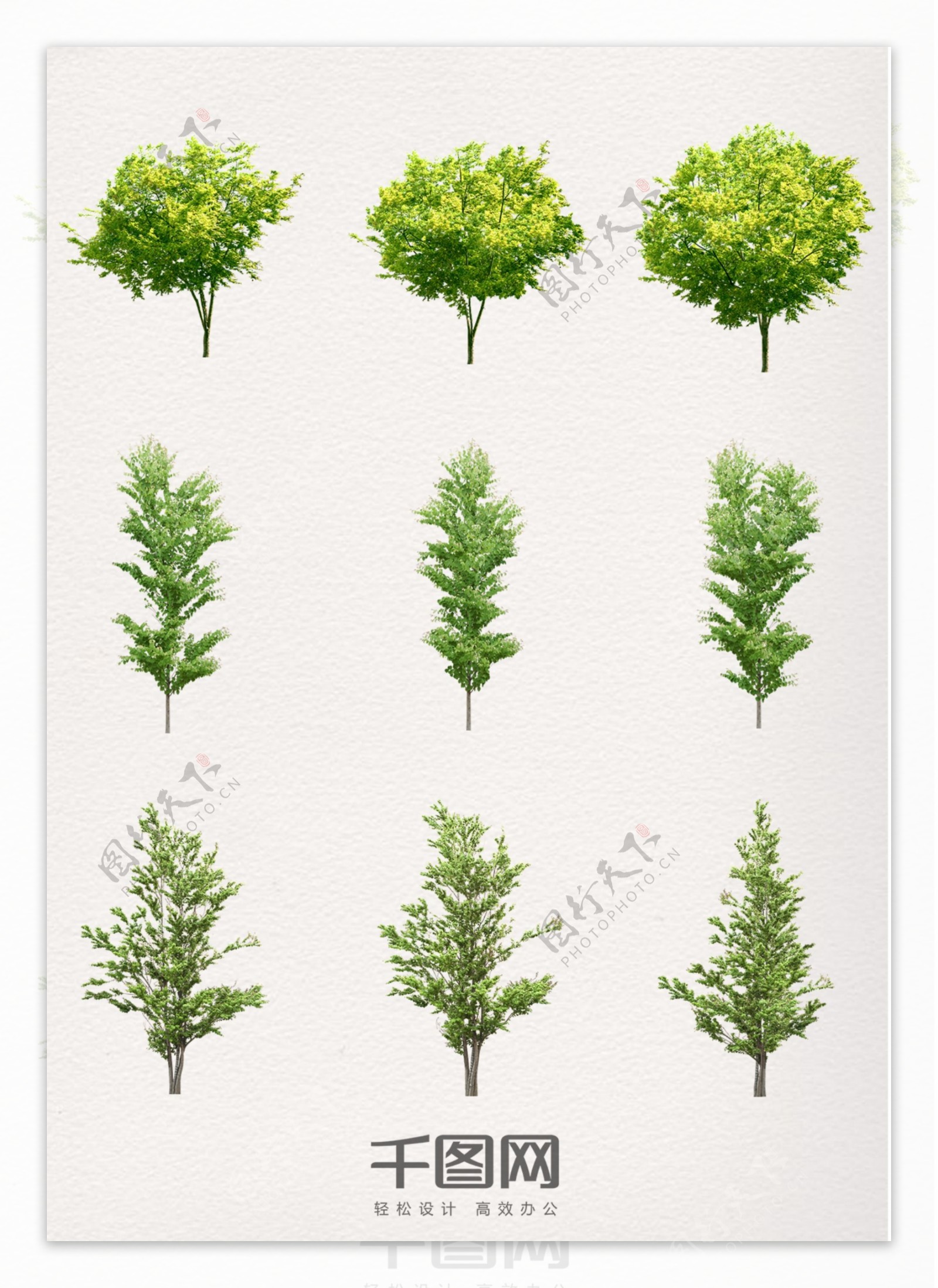 植物绿色树木素材