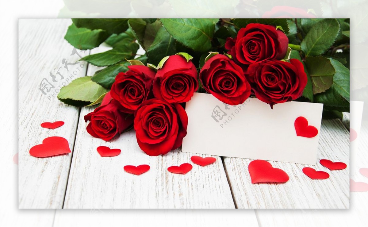红色情人节玫瑰空白卡片