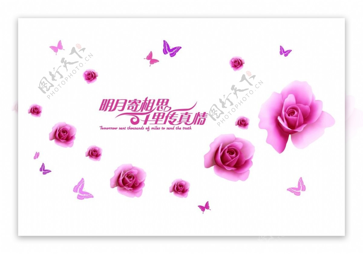 粉色玫瑰花中秋传情元素