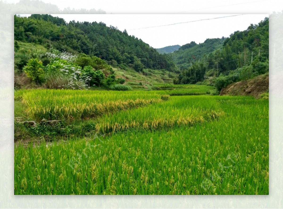 山川田野