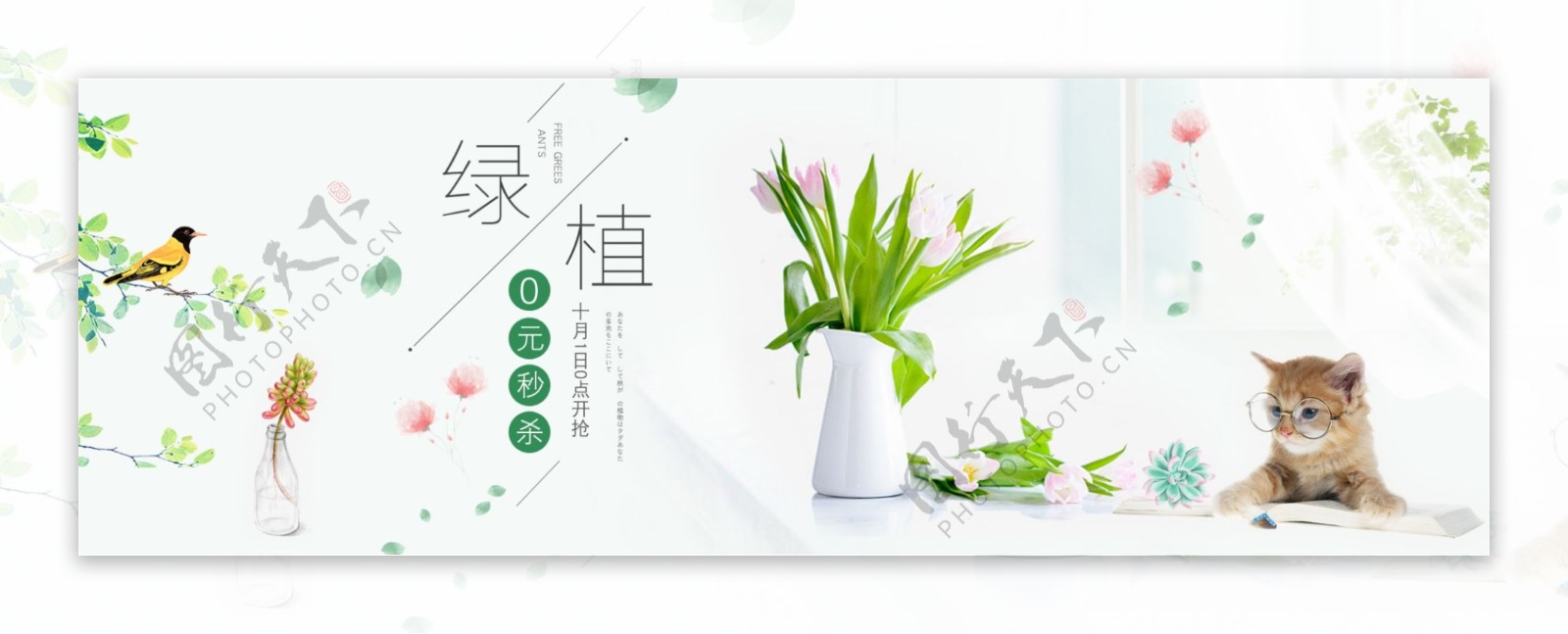 小清新桌面绿色植物猫咪多肉绿植促销海报banner
