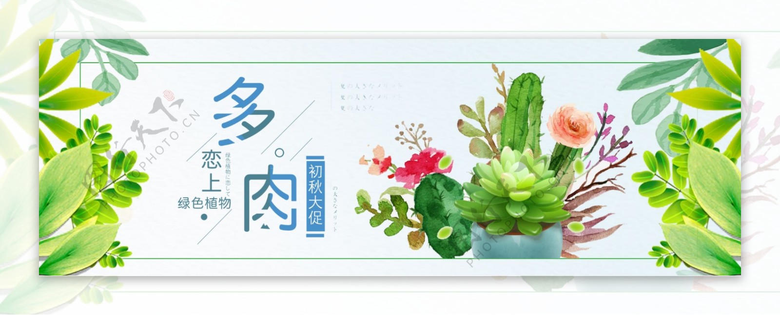 绿色小清新树叶多肉淘宝海报电商banner