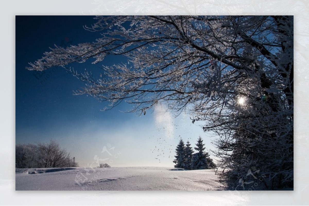 冬日里的雪景