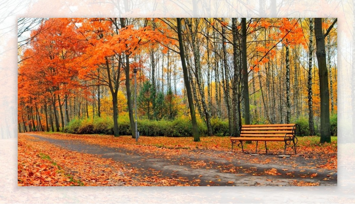 秋天公园板凳