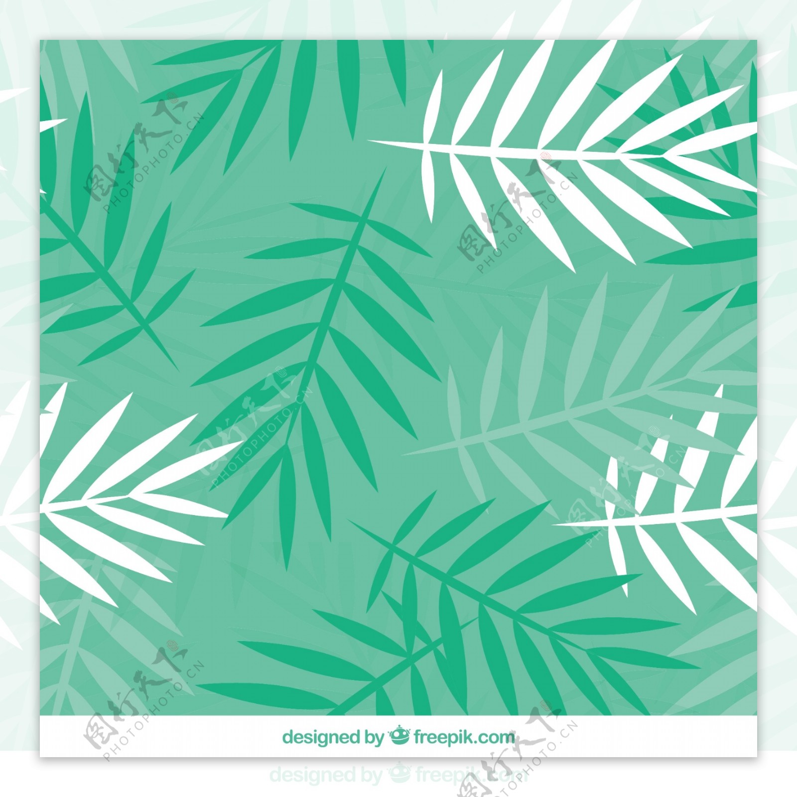 在平面设计的棕榈叶的绿色模式