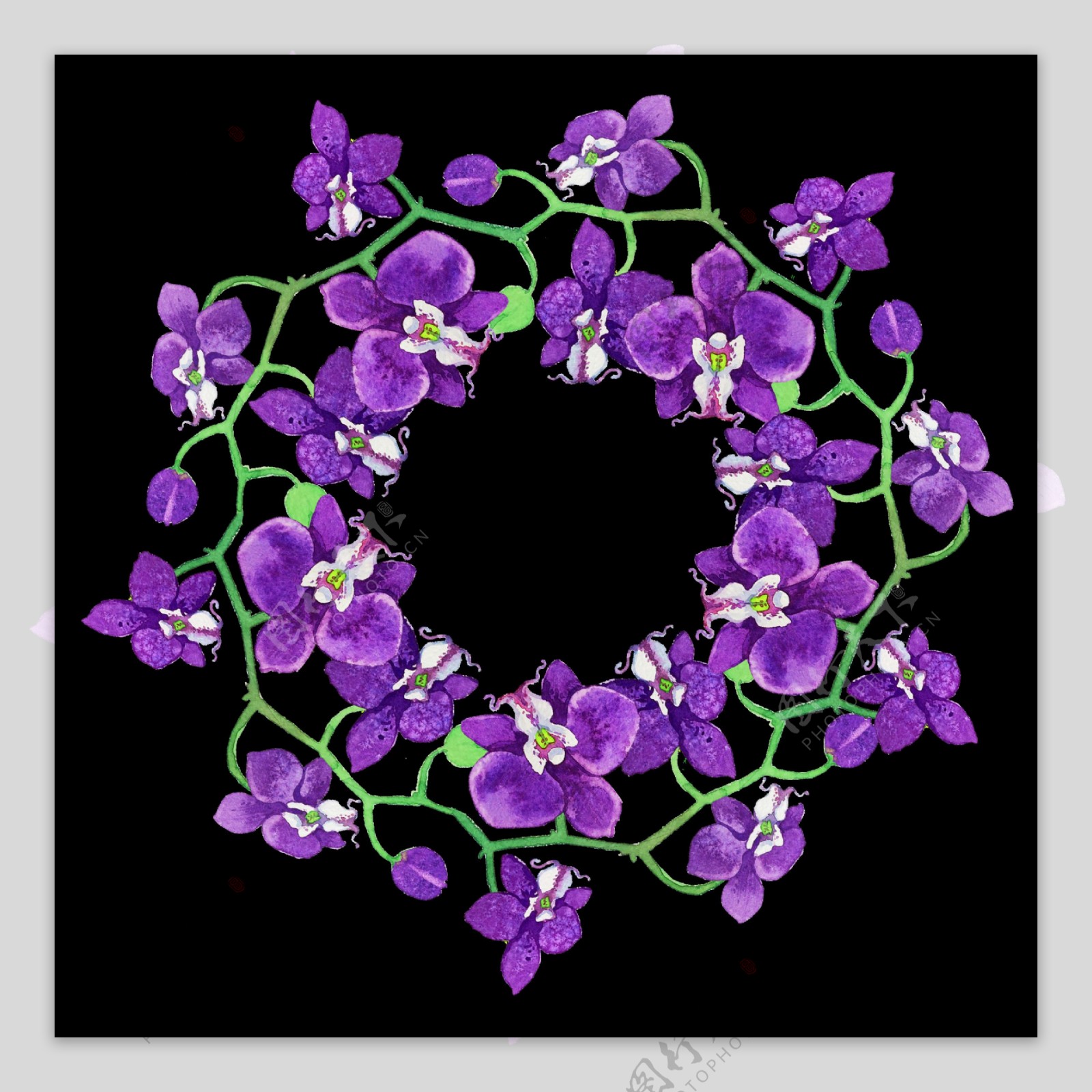 紫色花卉透明装饰素材