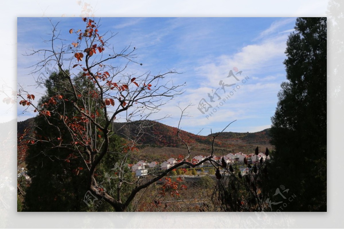 郊野美景