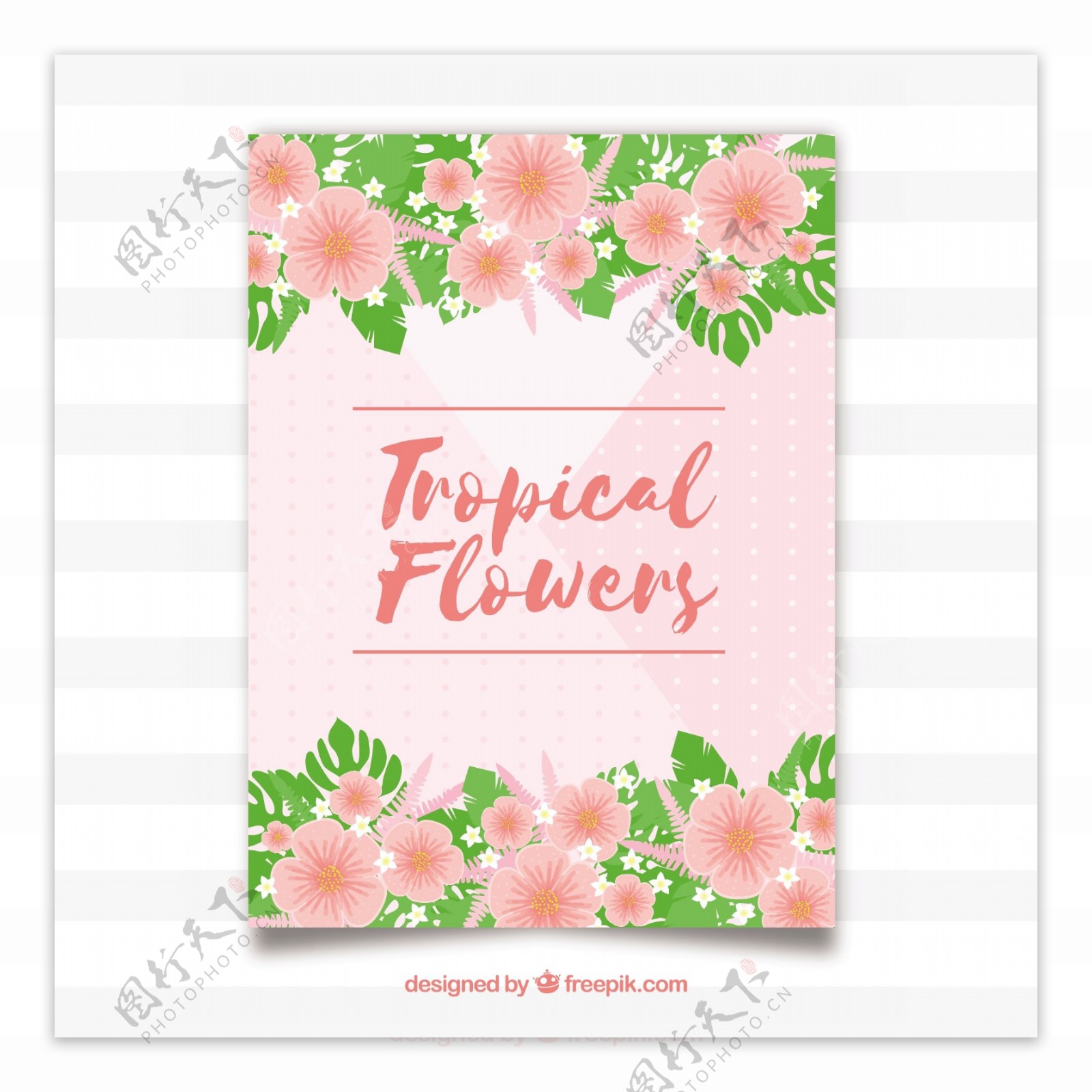 美丽的粉红色卡片与热带花卉