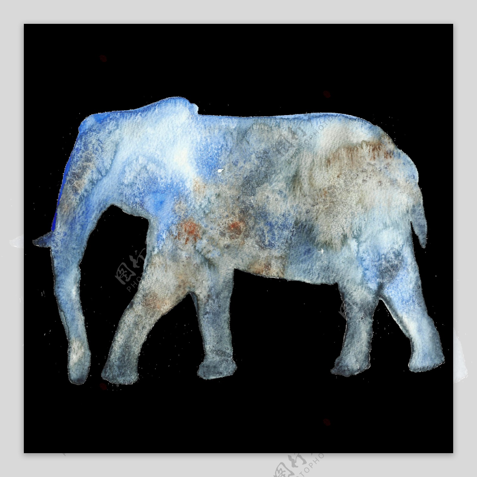 蓝色大象透明装饰图案528