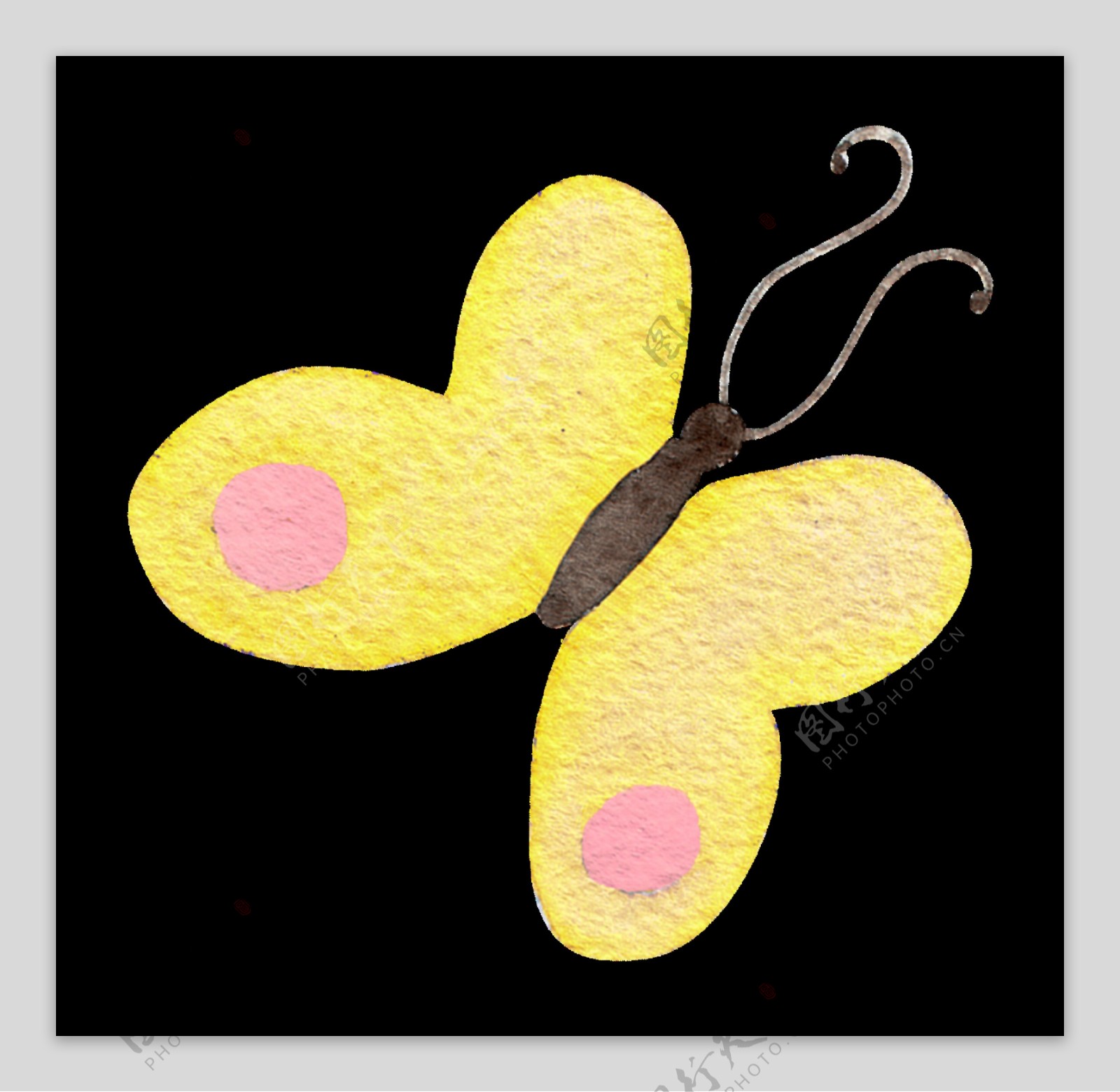手绘蝴蝶饼干透明装饰图案