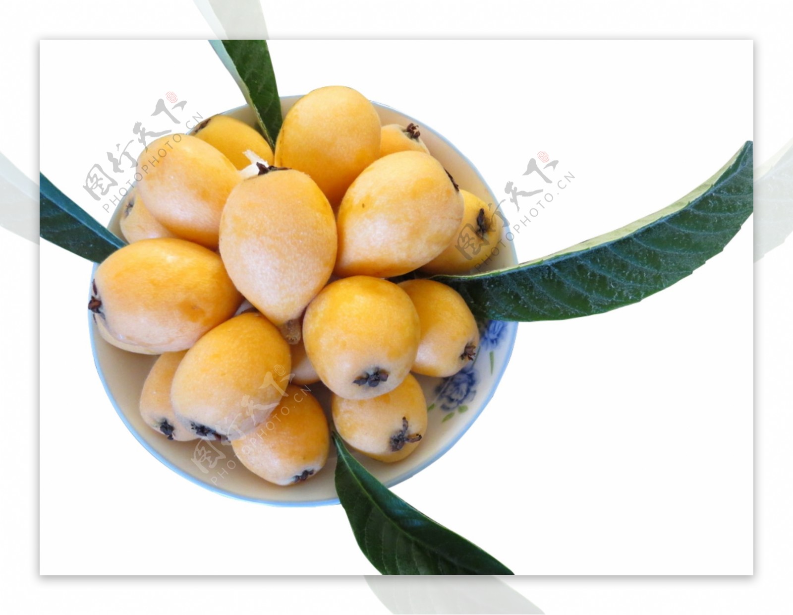 新鲜水果枇杷果实物图摄影图2图片素材-编号32345594-图行天下