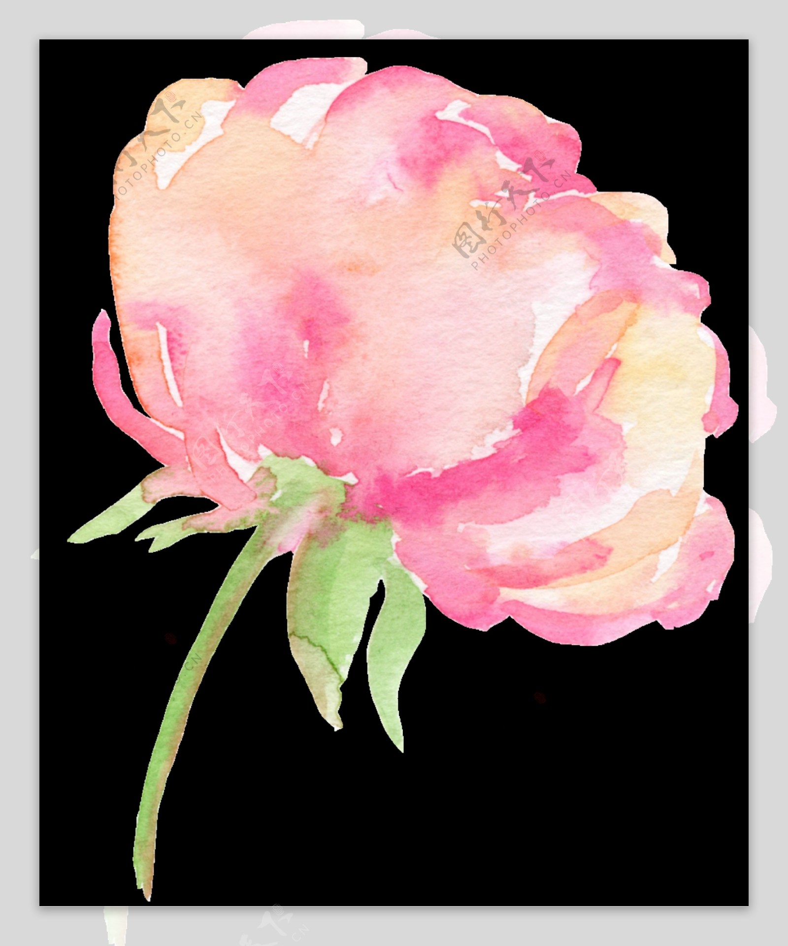 甜蜜粉色花卉卡通透明素材