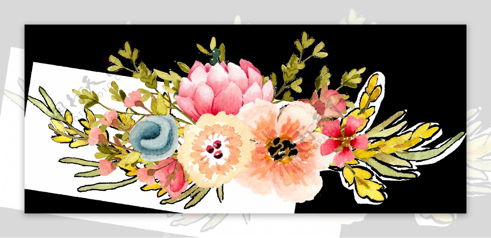多类花卉卡通透明素材