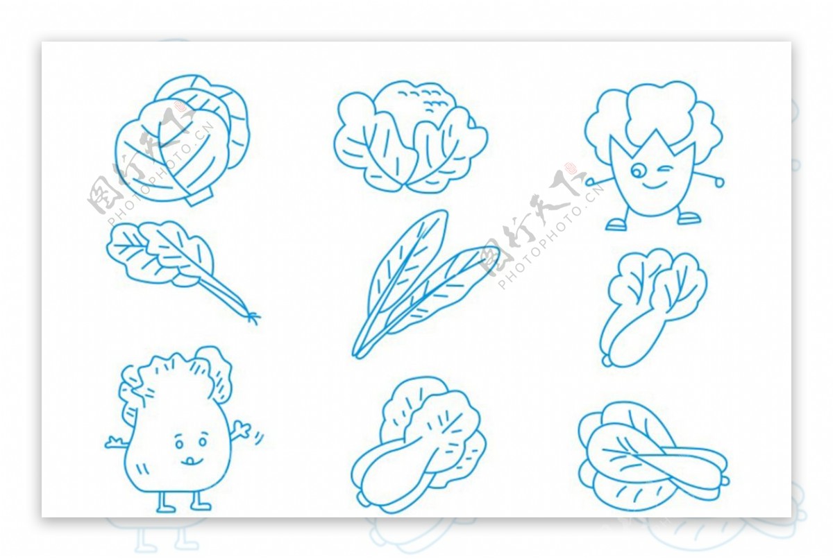 画青菜的简笔画 青菜怎么画图片-蔬菜简笔画-欣欣简笔画