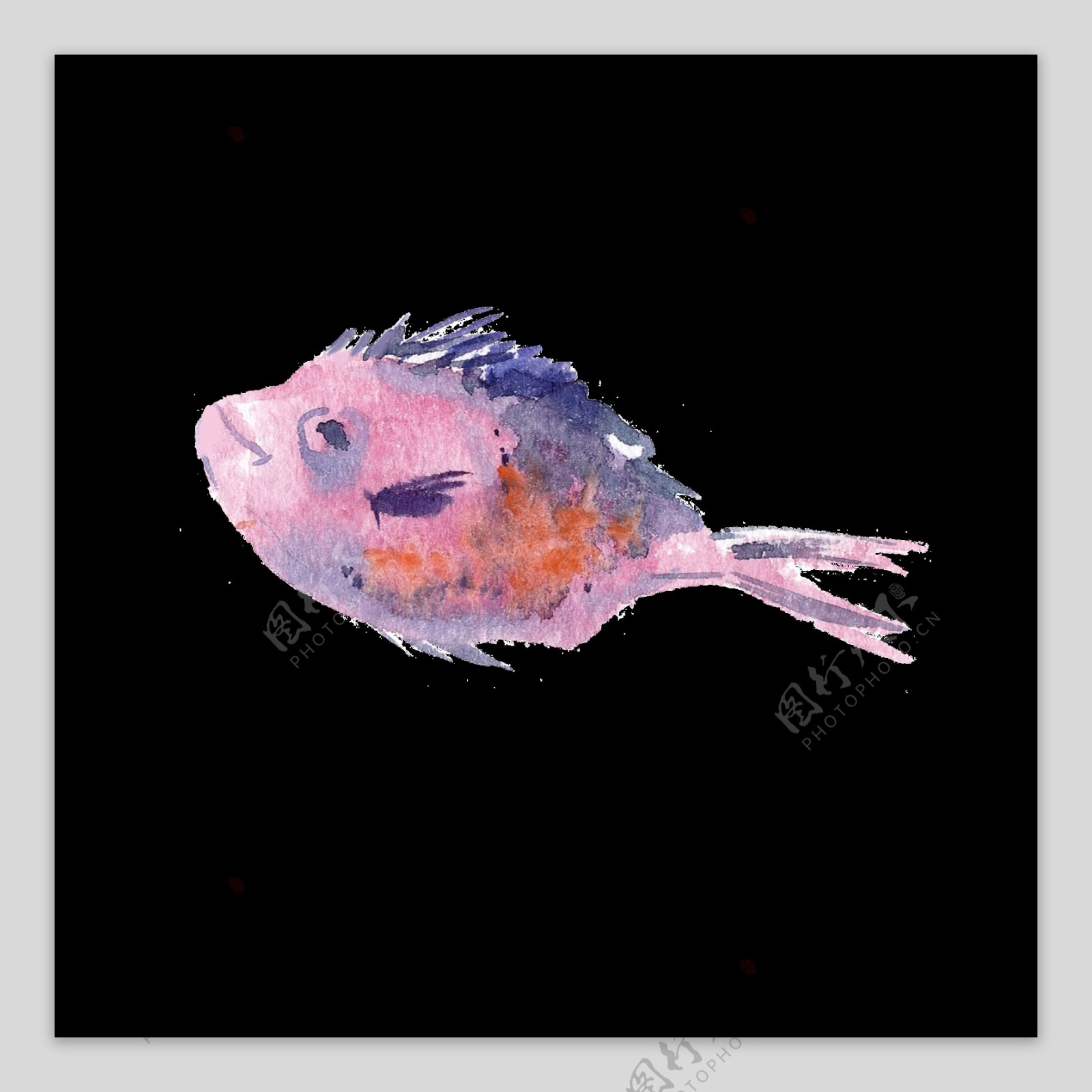 粉色水彩手绘鱼透明素材