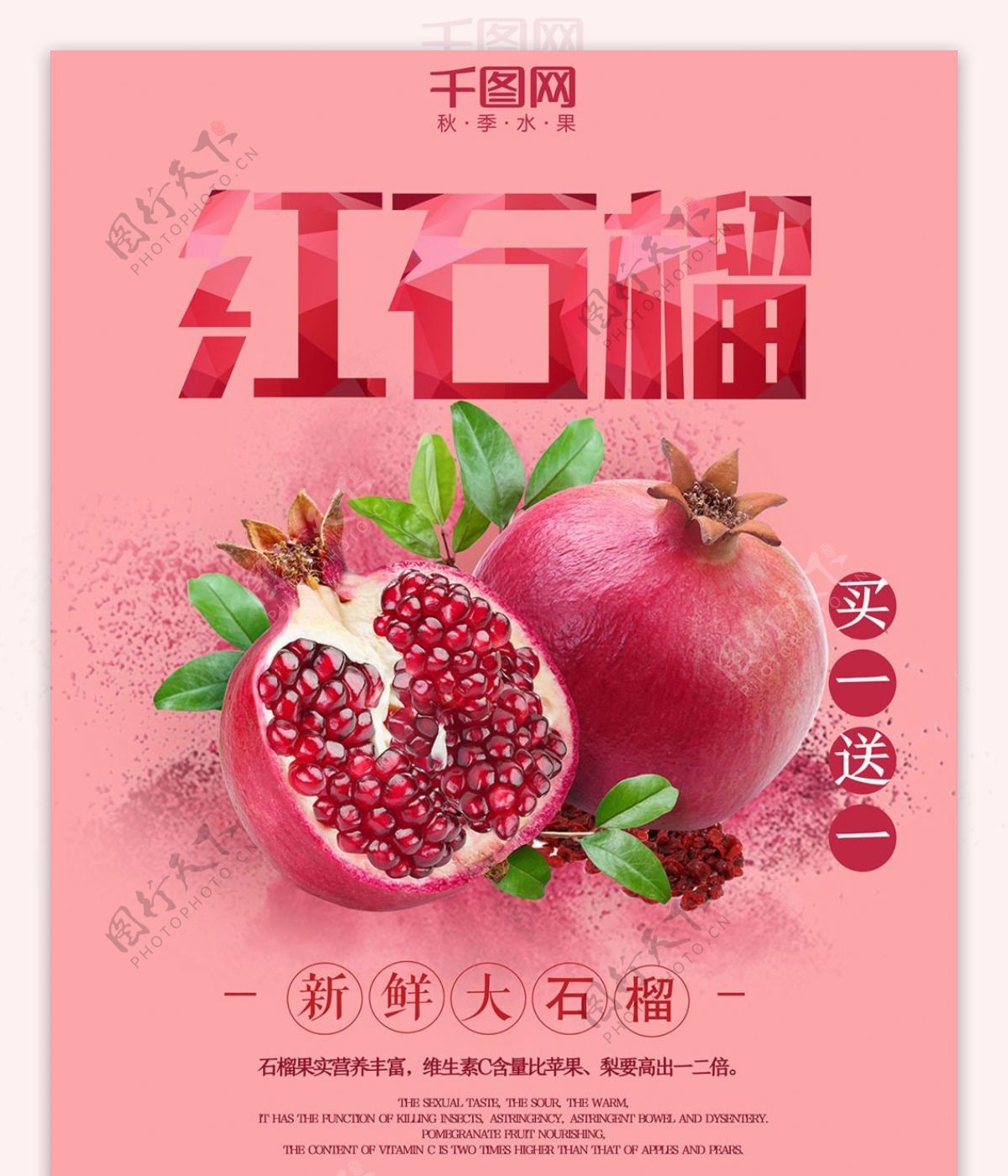 秋季水果石榴海报